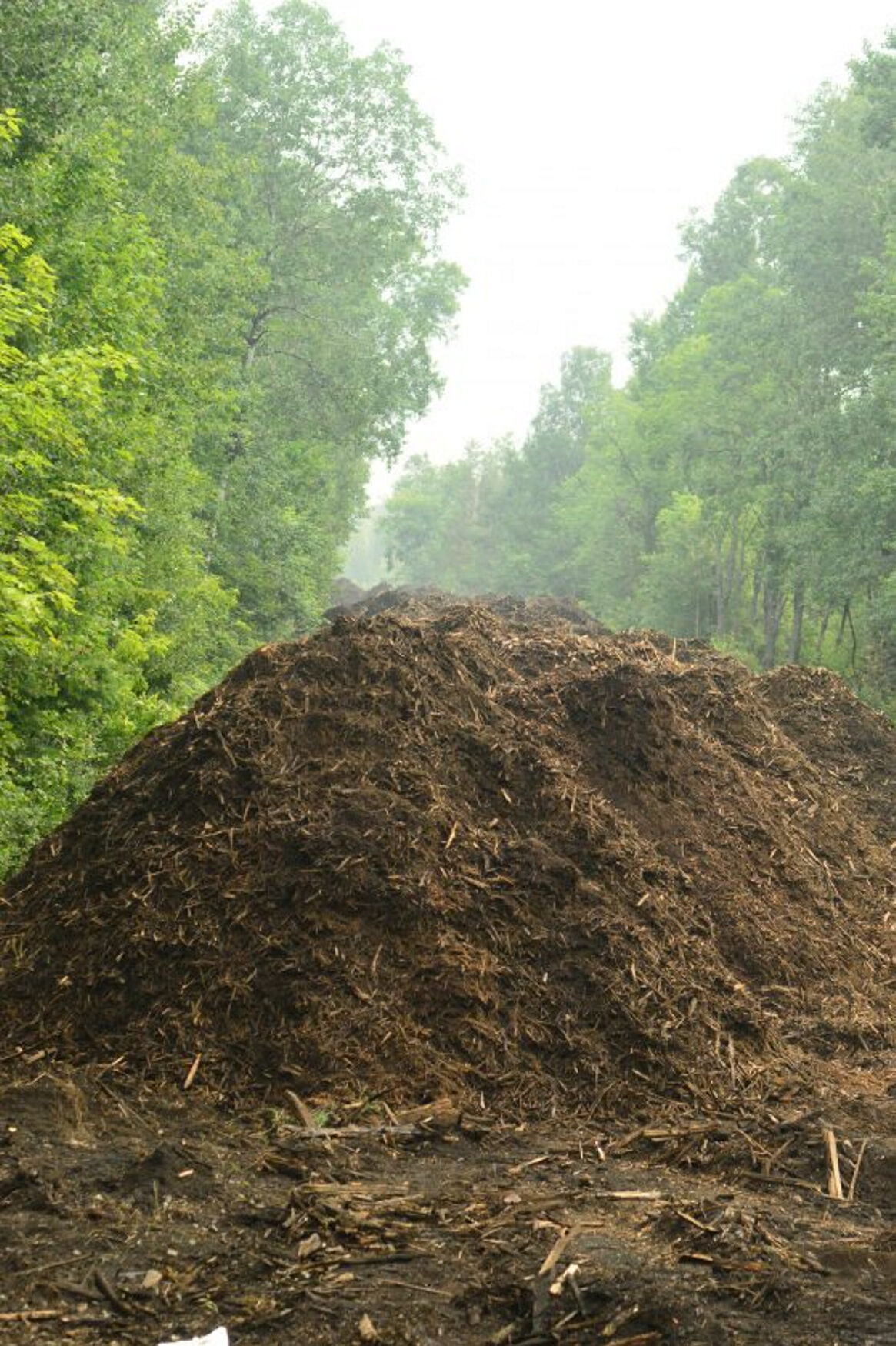 Ground-up rail ties create worrisome odor