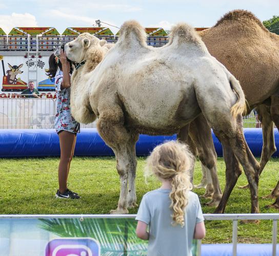 Photos from the Oswego County Fair 2022 Arts and Entertainment
