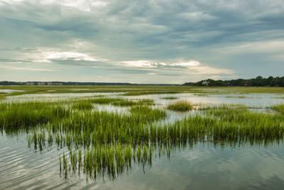 Environmental Business Column: Get to know your local wetlands