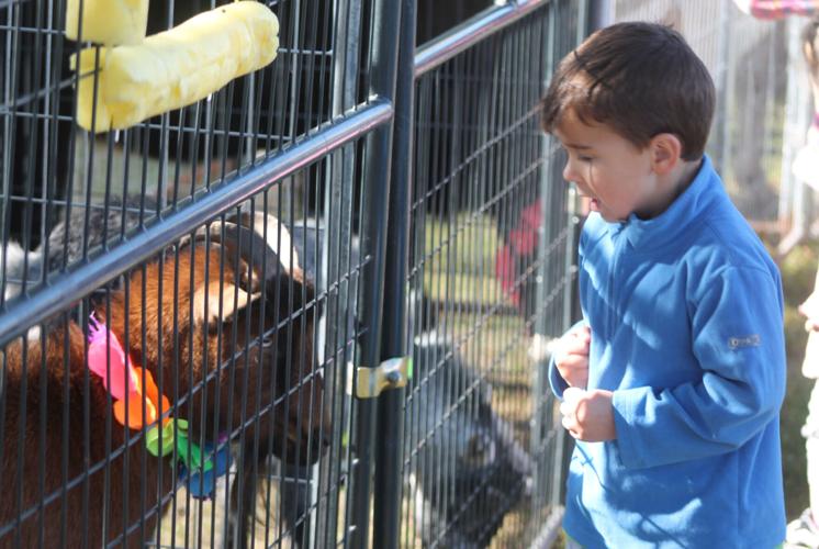 Ogdensburg hosts Maple City Fall Fest Kidscontent