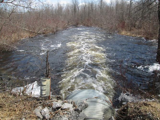 Brasher Falls Divided By Record High St. Regis News