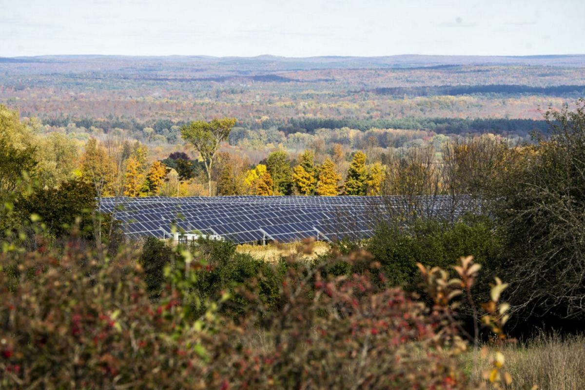 Lewis eyes county land for solar project