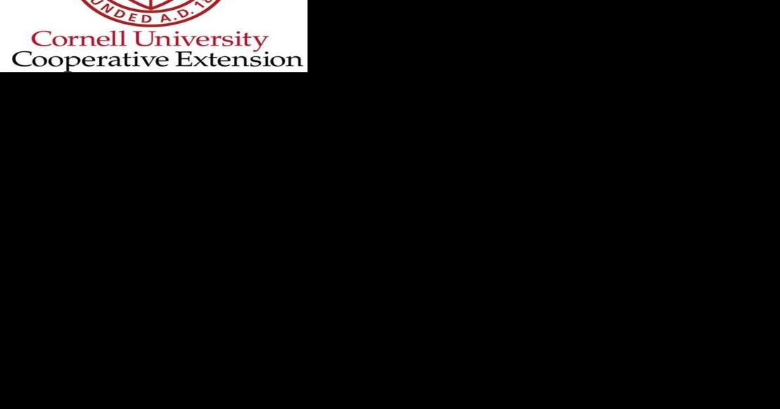 Remote Cornell Cooperative Extension programs reach larger audience - Vimarsana News