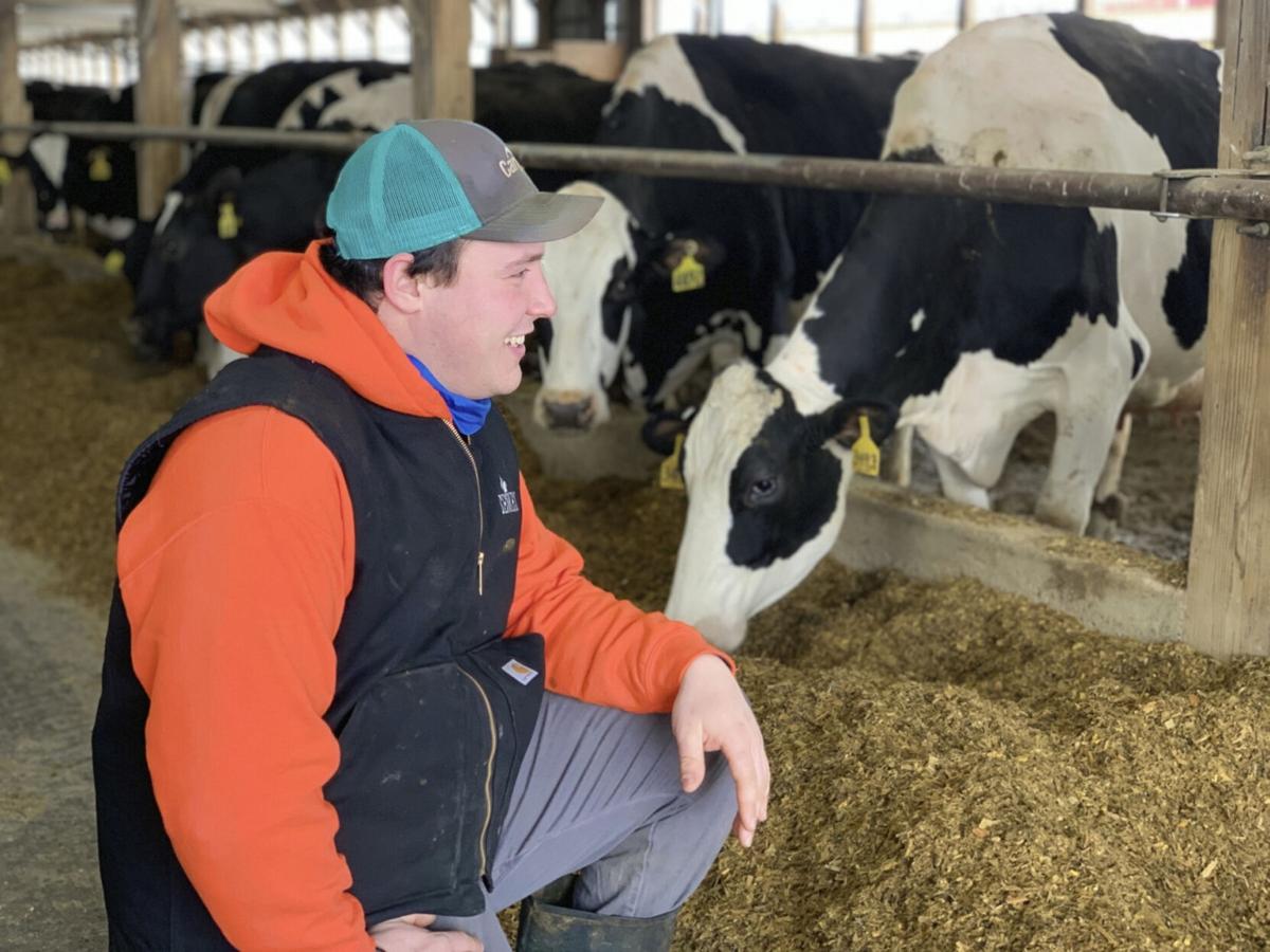 Stauffer Farms in North Lawrence hosting virtual dairy tour this week
