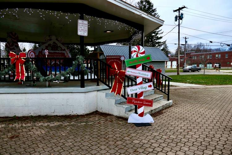PHOTOS Pulaski Memory Tree ceremony held in South Park Oswego County