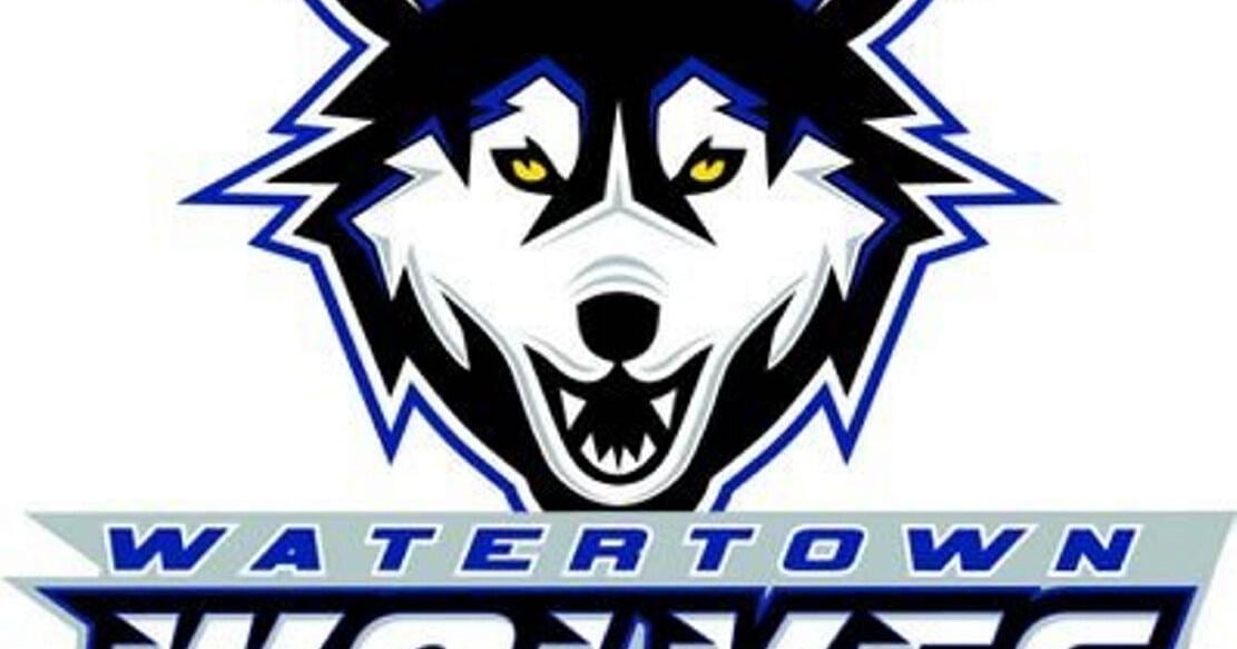 Local pro hockey: Pavlov lifts Watertown Wolves to much-needed win in ...
