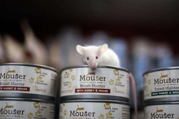 California company launches cat food with mouse meat in it Top
