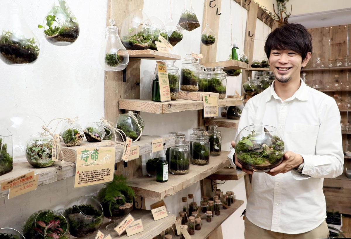 Humble Moss Proves A Soothing And Simple Hit In The Home Arts And Life Nny360 Com