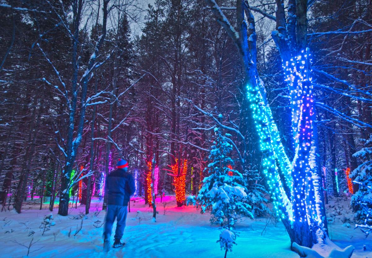 Wild Lights: An enchanted experience