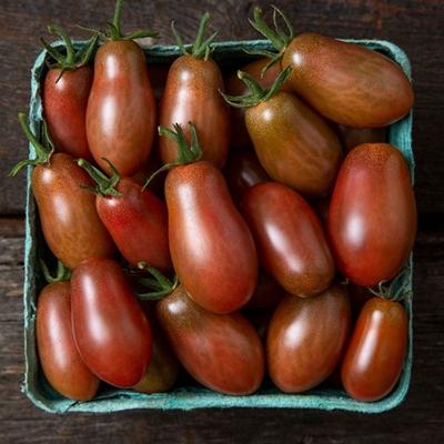 Moonshadow tomato packs a punch