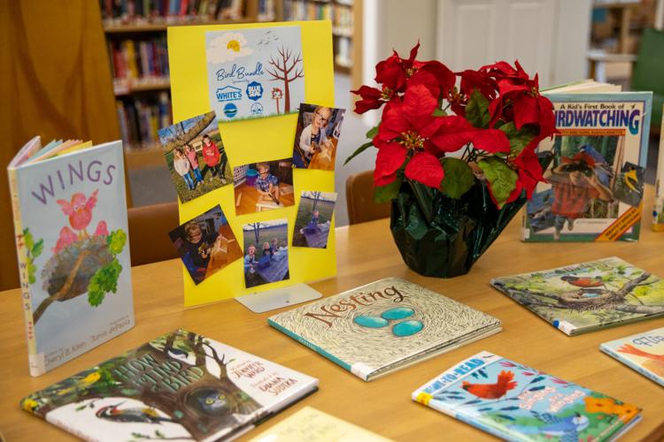 Cape Vincent Community Library adapting to pandemic, still serving patrons’ needs Books and