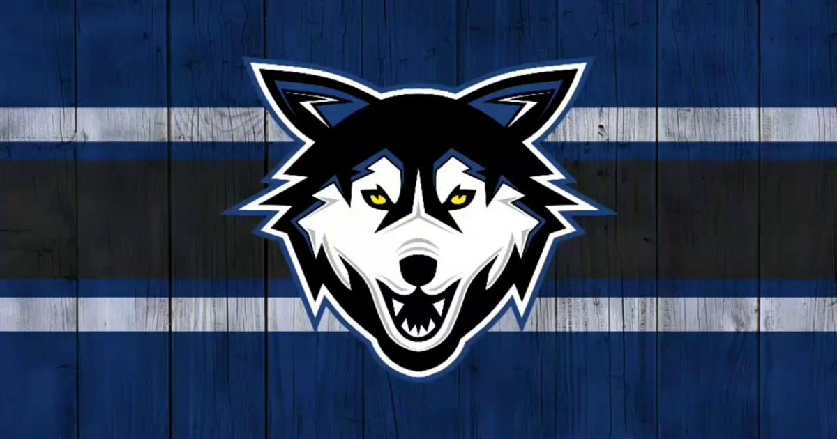 Local pro hockey: Heitzner, balanced Wolves record home rout of Dashers ...