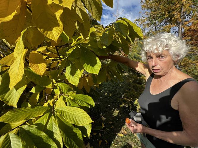 Warmer temperatures are extending farmer’s growing season Business