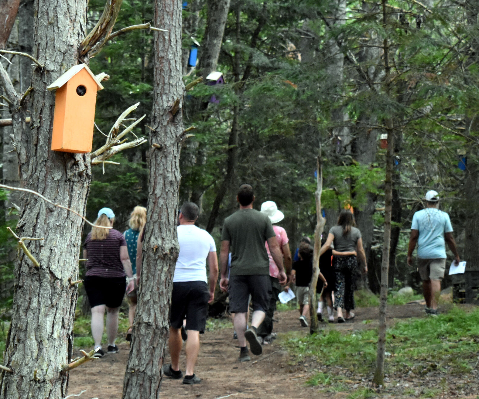 Franklin County's The Wild Center attraction had record season