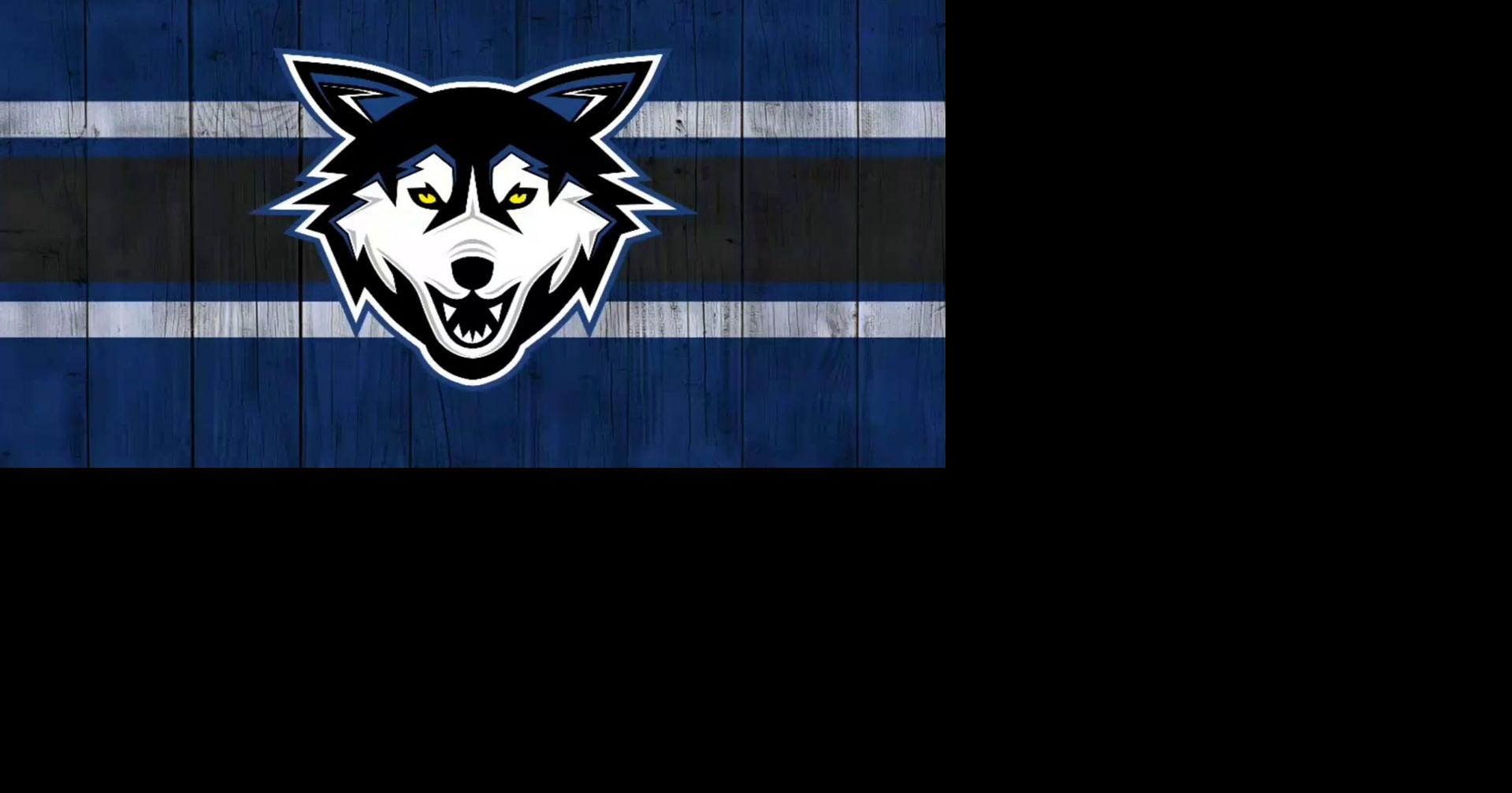 Local pro hockey: Thornton, Lord generating chemistry, spark Wolves to ...