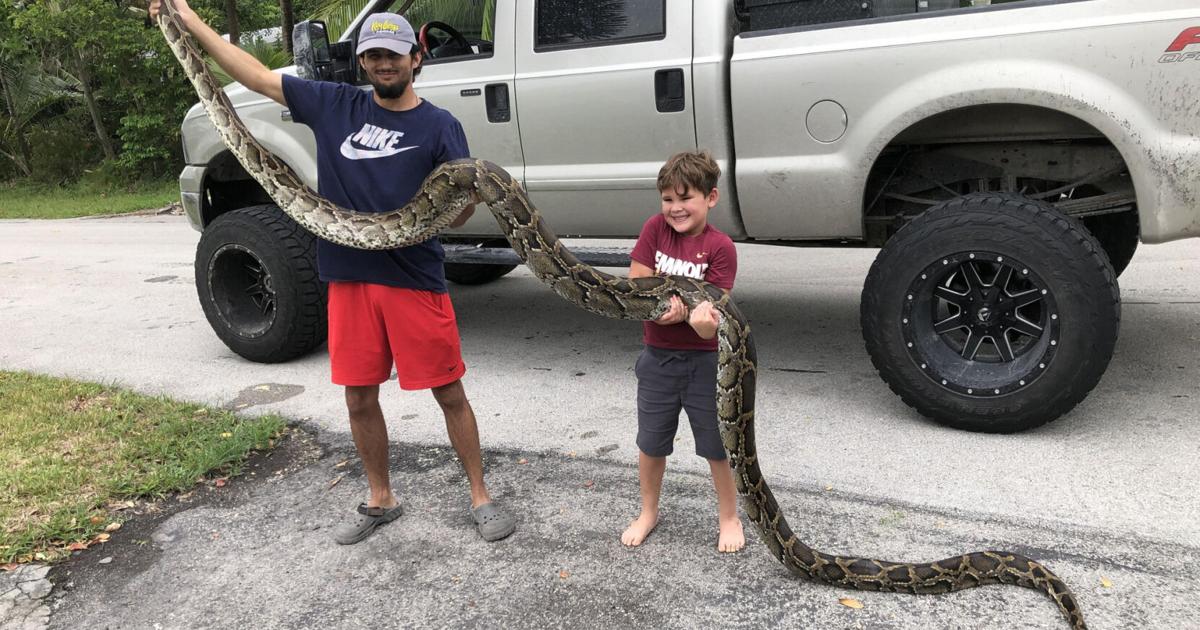This years Florida Python Challenge winner wrangled 28 snakes