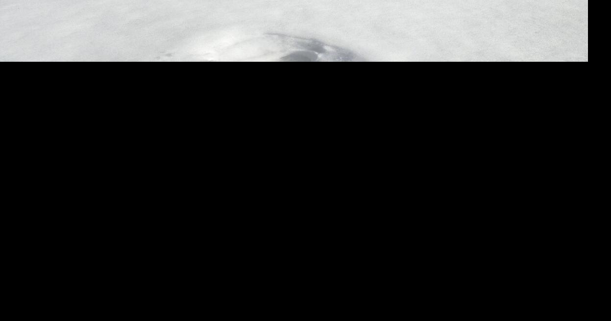 Pat Collins Real Estate now known as Grasse River Real Estate