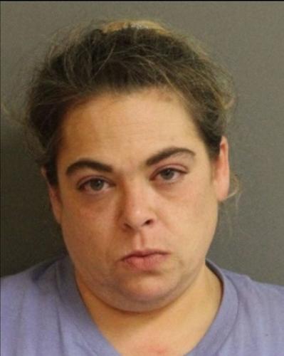 Court documents reveal Ogdensburg woman tried to fire warning shot at ...