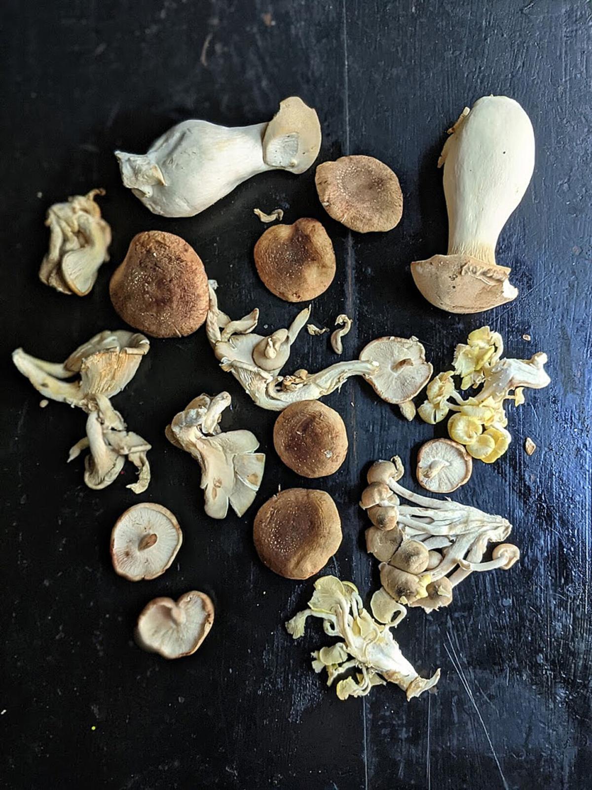 Foraging And Cooking With Wild Mushrooms Can Be Fun Food And Drink Nny360 Com