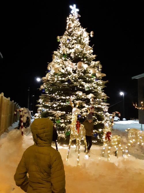 christmas parade 2020 croghan ny Croghan Festival Shows Hallmark Christmas Spirit Top Stories Nny360 Com christmas parade 2020 croghan ny
