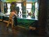 Staycations! Adventures close to home