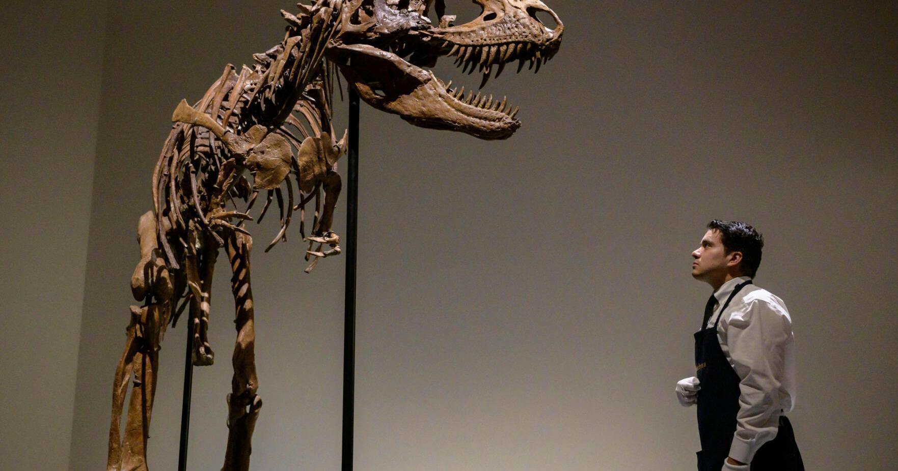 Extinction threat may be greater than previously thought, new global study finds - Vimarsana News