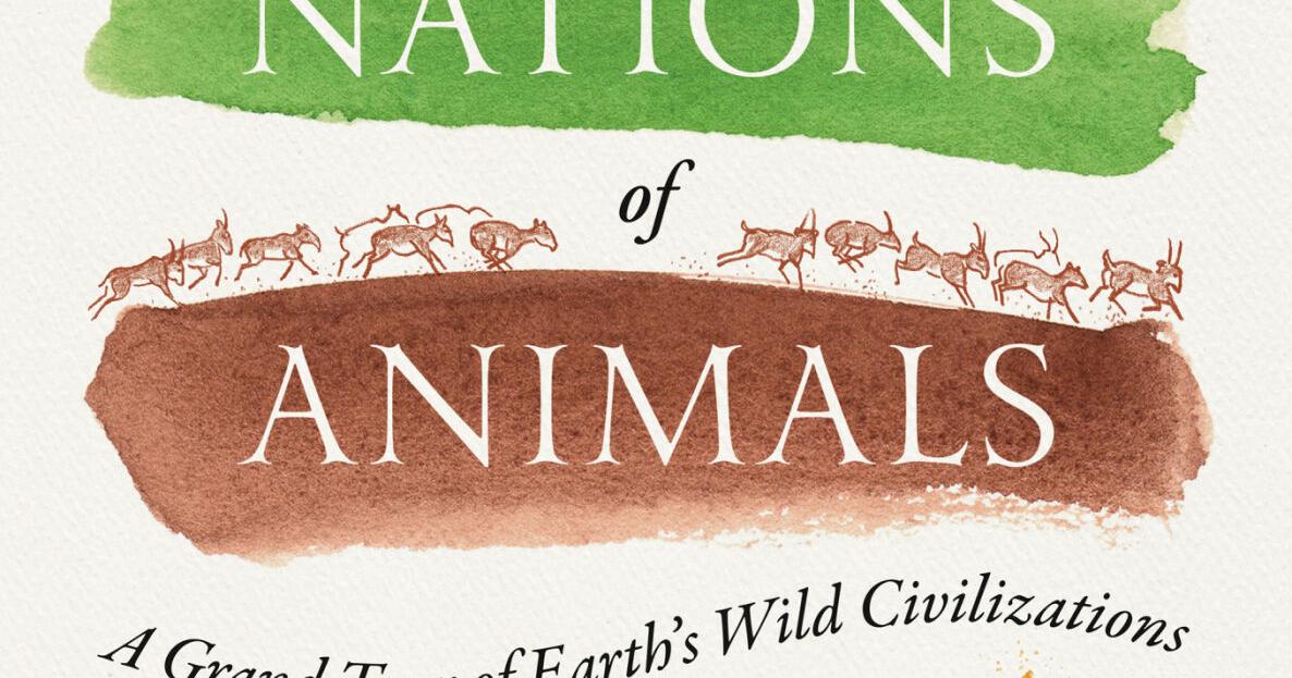 How a California wildfire inspired a book about hidden animal societies