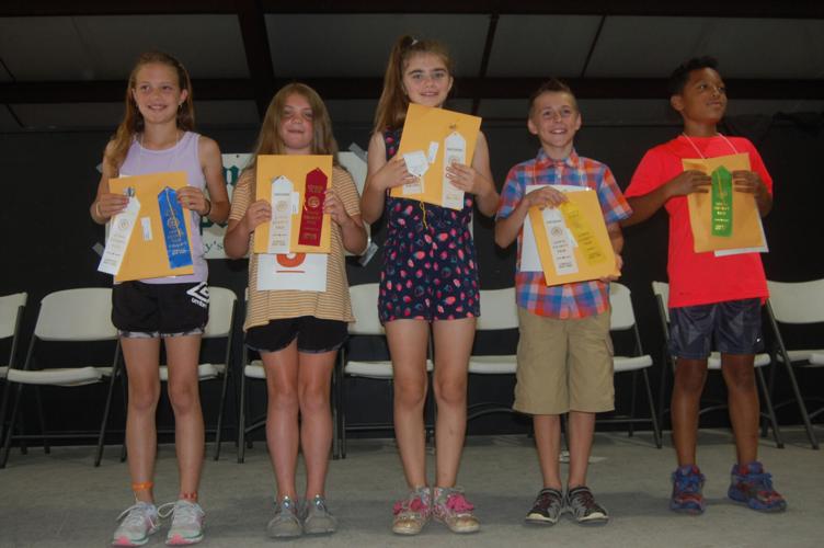Lewis County Fair hosts annual spelling bee Kidscontent