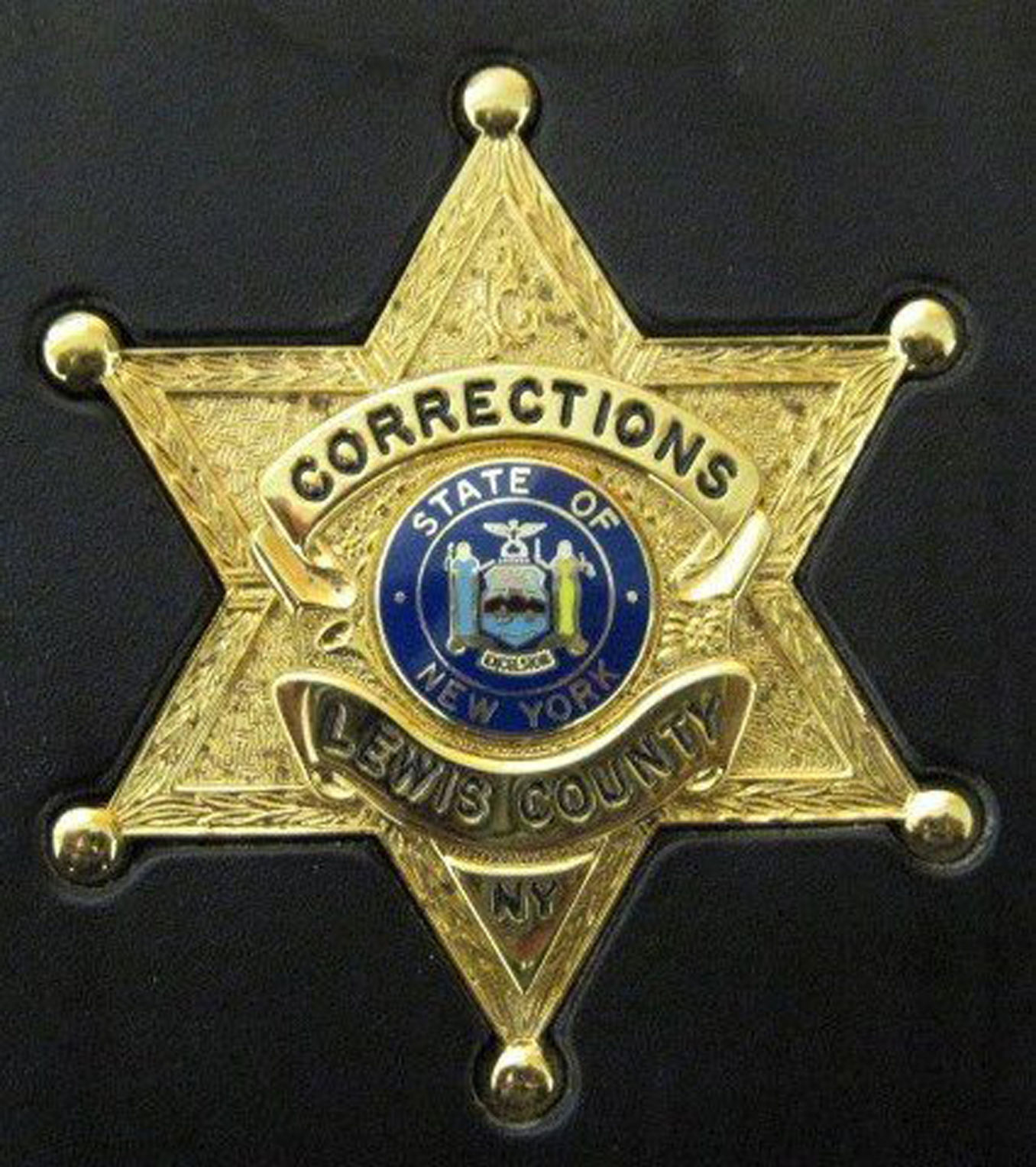 lewis county jail inmate search