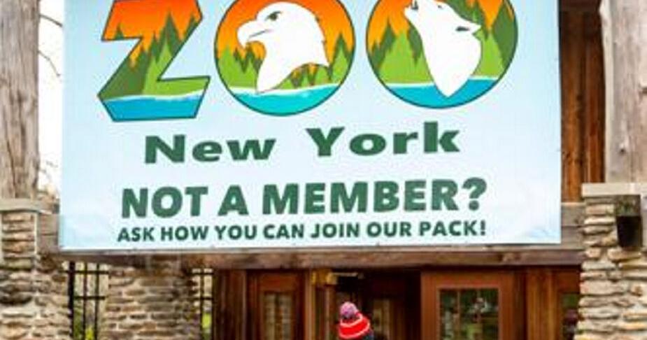 Donations reach $250,000 for Zoo New York after New York Times article
