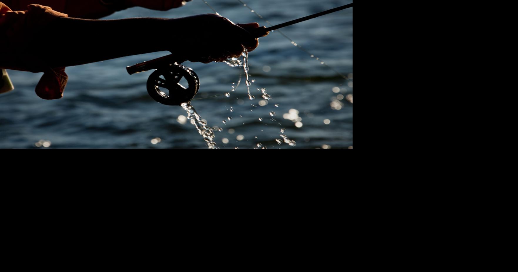 The rise of the skillcation