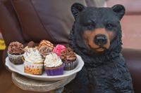 NNYM_wds_3 Bears_cl060.jpg