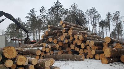 St. Lawrence officials press to keep biomass facility running