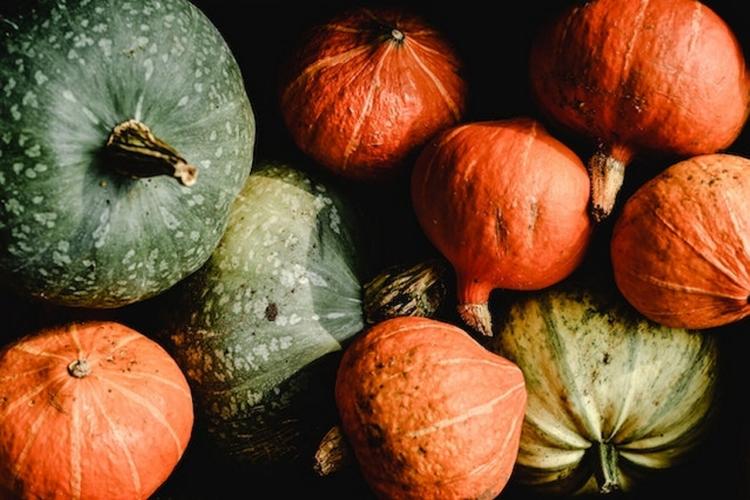 Gorgeous gourds are fall decor favorites