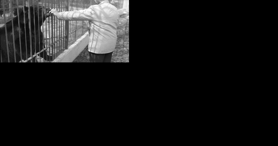 A look at Zoo New York's century-old history | Community Notes - Vimarsana News