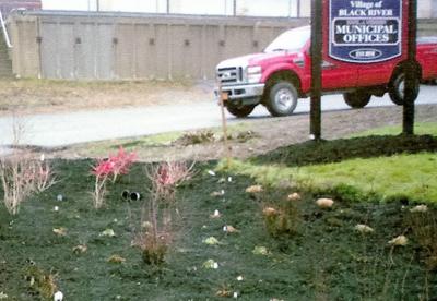Black River trustees to hold special meeting