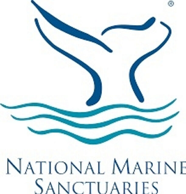 NOAA looking for input on proposed Lake Ontario National Marine Sanctuary - Vimarsana News