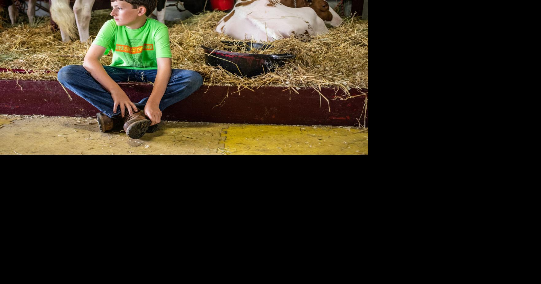 Lewis County hopeful 200th county fair will ‘come off as planned ...