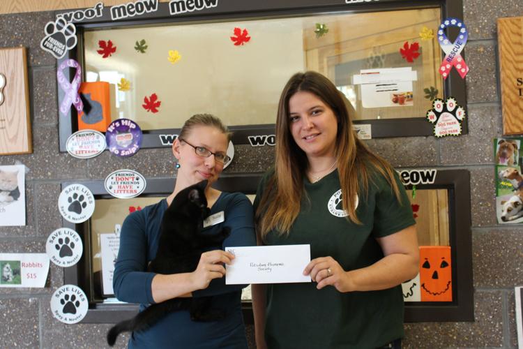 Donate Selfcreated Artwork News