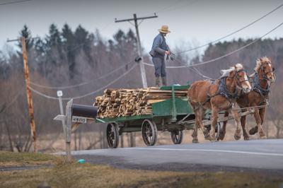 Cautious crossing