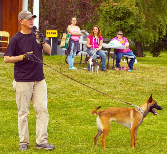 Veterans Memorial Park goes to the dogs News