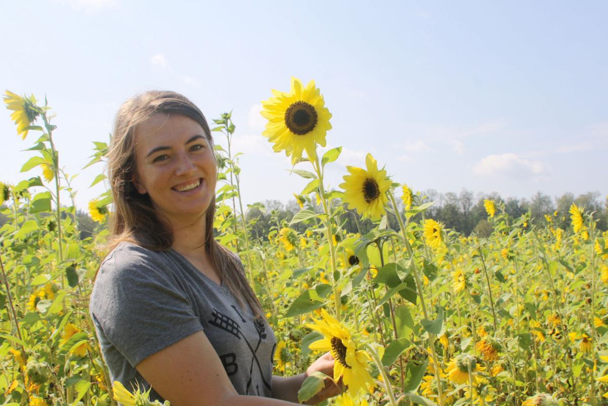 Flowers Of The Field Sunflowers Draw Picture Takers And Pollinators To South Colton Farm Arts And Life Nny360 Com