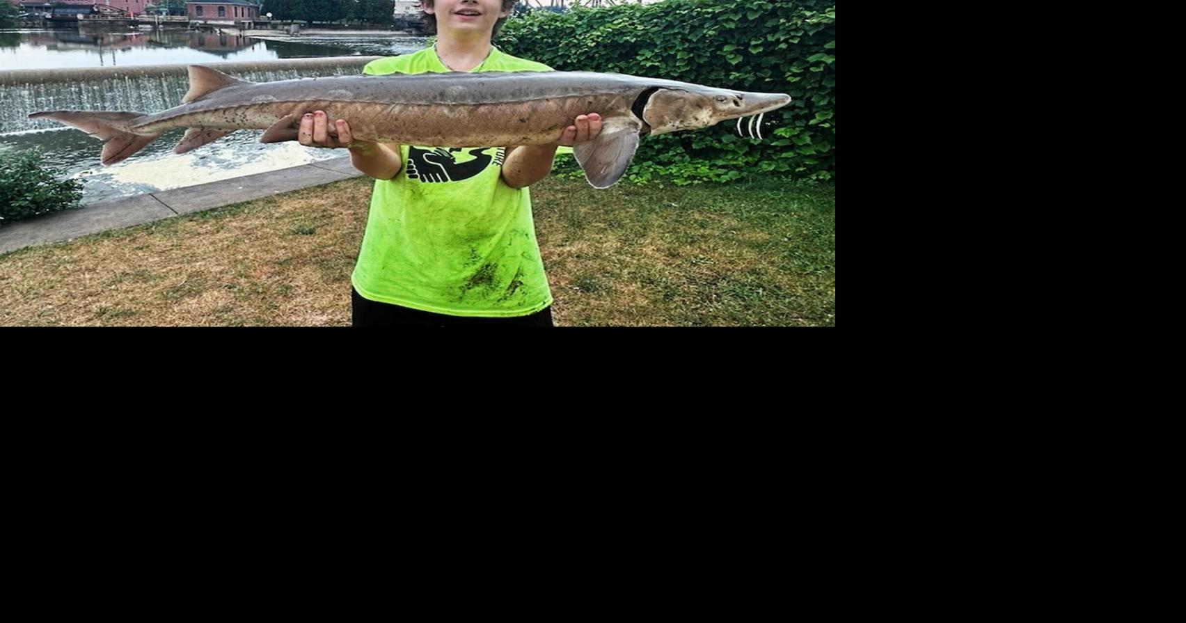 Oswego County teen lands prehistoric fish: ‘My reel was on fire!’