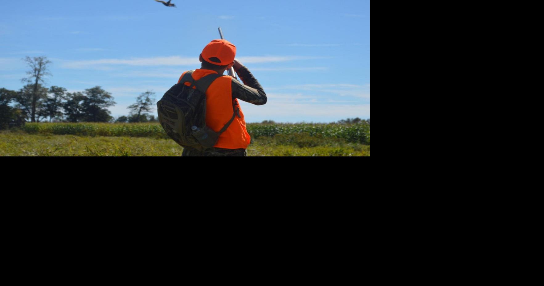 New pheasant management plan aims to get more New York hunters into the field