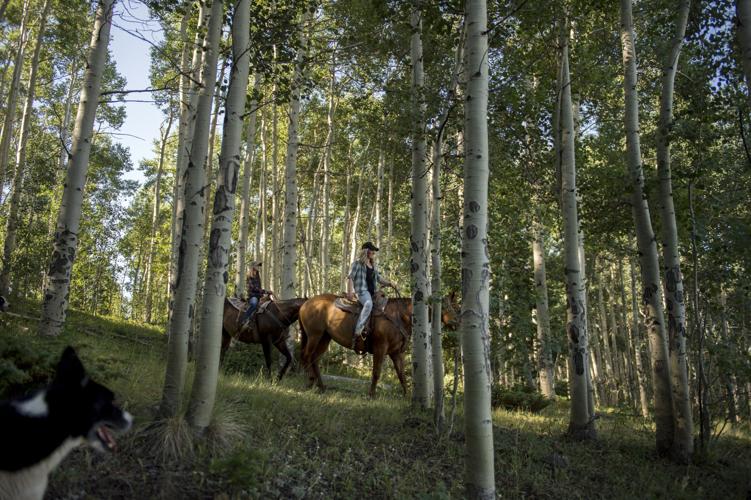 Female ranchers reclaiming West | News | nny360.com