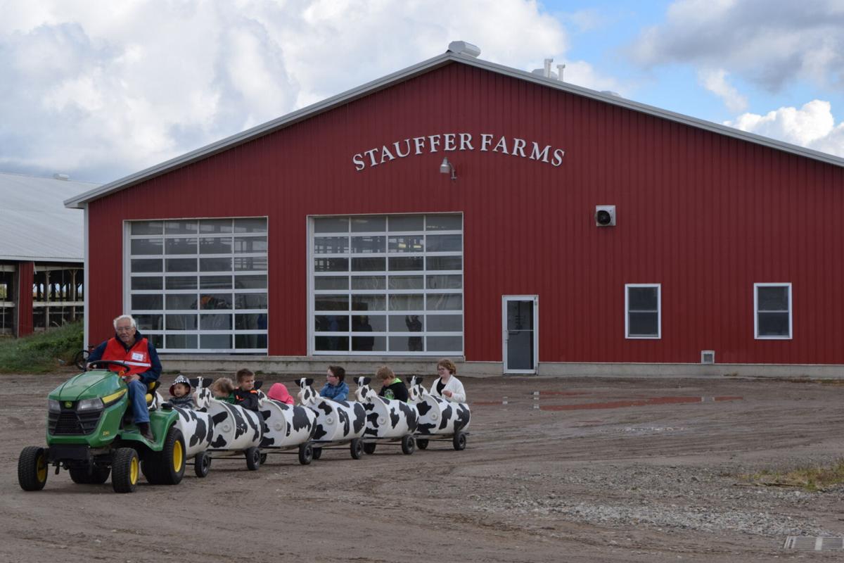 Stauffer Farms in North Lawrence hosting virtual dairy tour this week