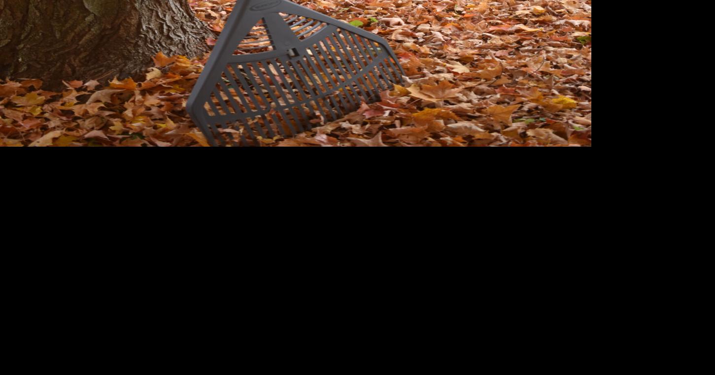 Village clean up starts Oct. 26; here’s some raking tips | Malone ...