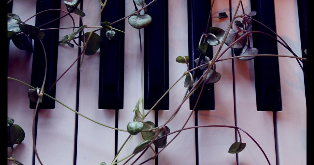 Madalyn Dann, Mexico-Ceramics & Glass titulado “Reputación”. | Arte y Entretenimiento Madalyn Dann, Mexico-Ceramics & Glass titulado “Reputación”. | Arte y Entretenimiento