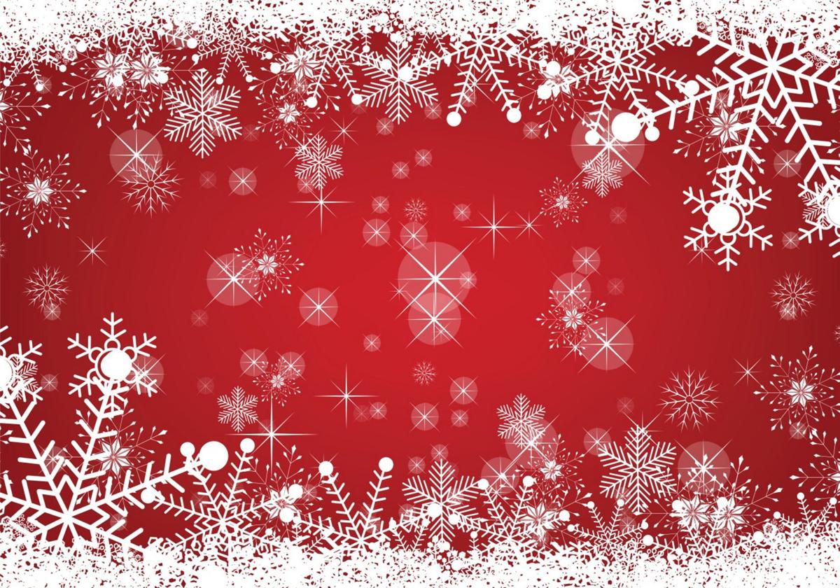 Real Vs Artificial Christmas Trees Which Is The Greener Choice News Nny360 Com