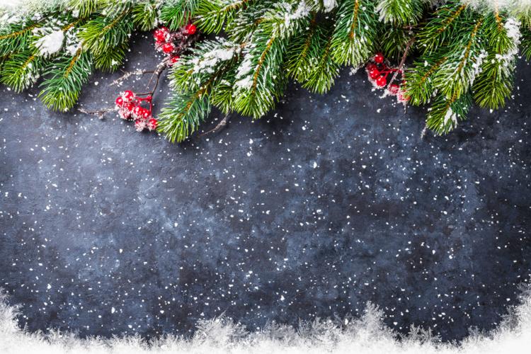 What holiday lights do to your electric bill Arts and Life